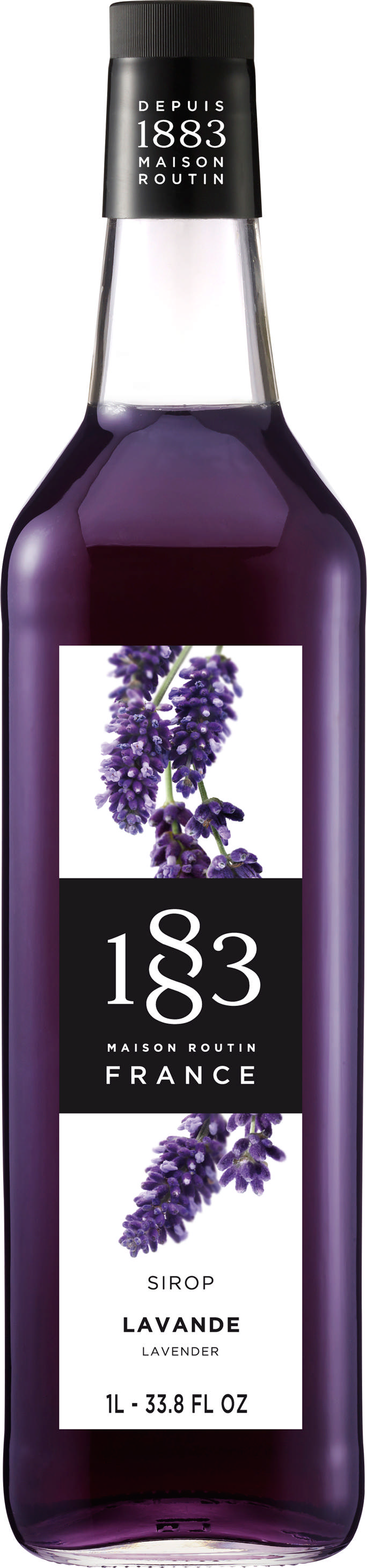 1883 Syrup Lavender / Lavendel